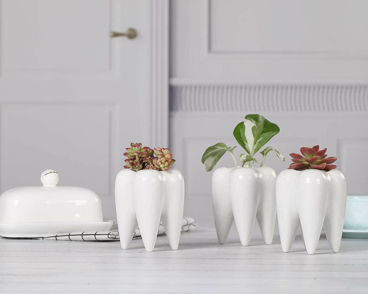 1/3 Pack Tooth Planter Pot Succulent Bonsai Pots Pencil Holder Office Organizer Gift For Dentist