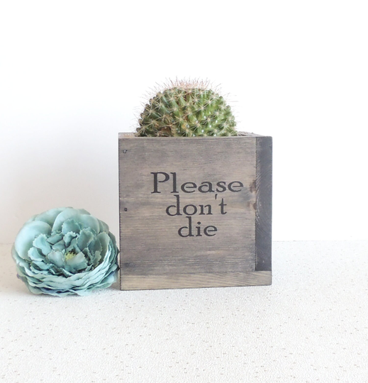 Succulent Planter, Wooden Plant Pot, Dorm Decor, Fun Gift, New Home Present, Rustic Please Don't Die, Indoor Gardening, Kitchen Pot