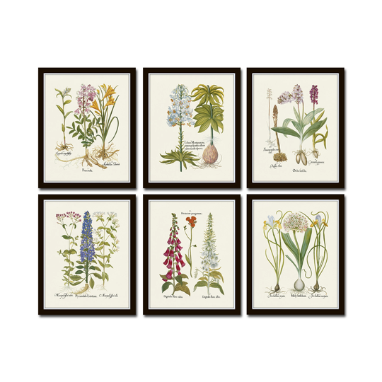 Antique Botanical Print Set No. 32, Prints, Art, Set, Giclee, Art Prints