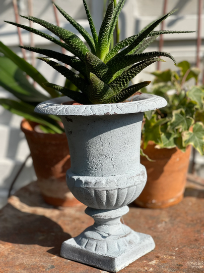 Cast Iron Classical French Mini Urn Shabby Chic Grey Chippy Painted Finish Medici