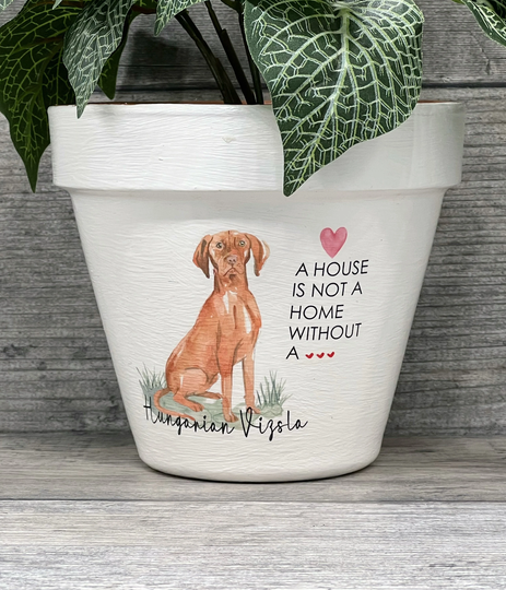 Personalised Vizsla Dog Plant Pot Gift. Dog Memorial Keepsake Flower Planter. Lovers House Is Not A Home. Terracotta Pot