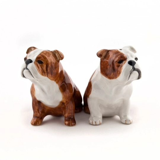 English Bulldog Dog Salt & Pepper Shaker Hand Painted Stunning Supplied Gift Boxed