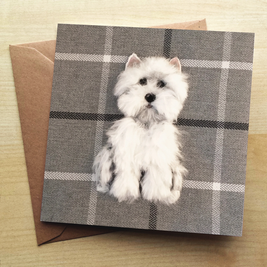 Westie Greetings Card By Sharon Salt | Dog On Tartan Code Sa12G