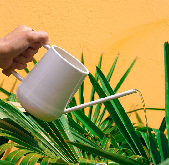 Burgon And Ball Indoor Watering Can With Bee Seeds