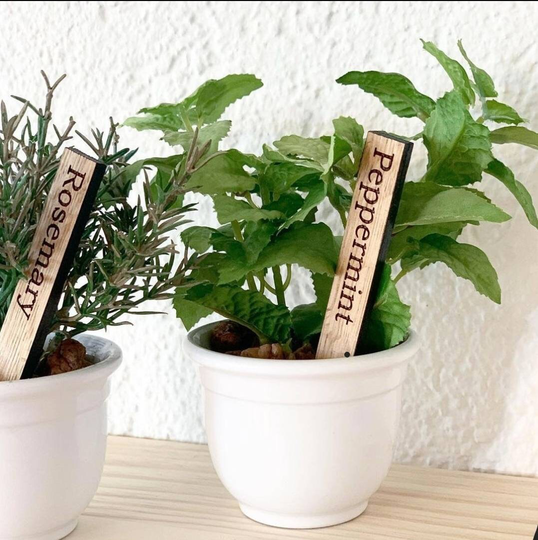 Small Herb Signs/Seedling Sign Made From Oak