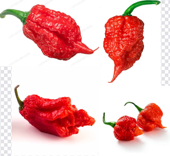 Worlds Hottest Carolina Reaper Naga Chilli Seeds - Chilli, Pepper 15 | UK Seller