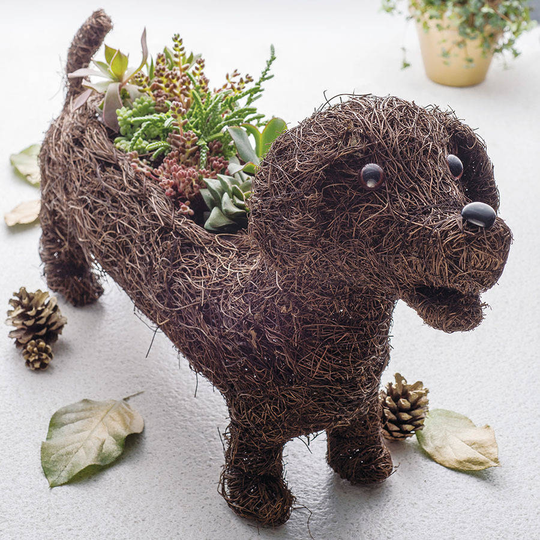 Dachshund Planter