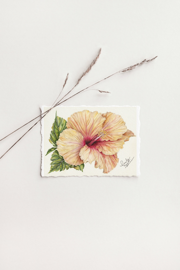 Vintage Hibiscus