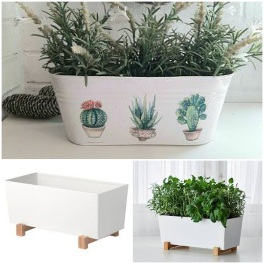 Beautiful Cacti Trough. Tin Container. Kitchen Bathroom Two Trough Shapes Available