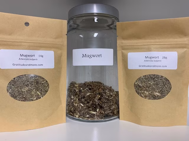 Mugwort Herb, Herbal, Natural, Tea, Botanical, Wildcrafted