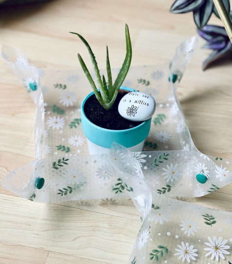Baby Mat/ Bottom Watering/ Humidity Tray/ Mini Plant Tray/ Catch Pot