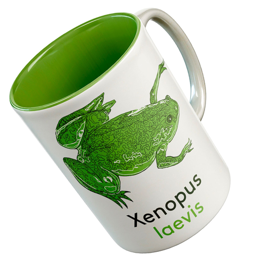 xenopus Frog Model Organism Mug