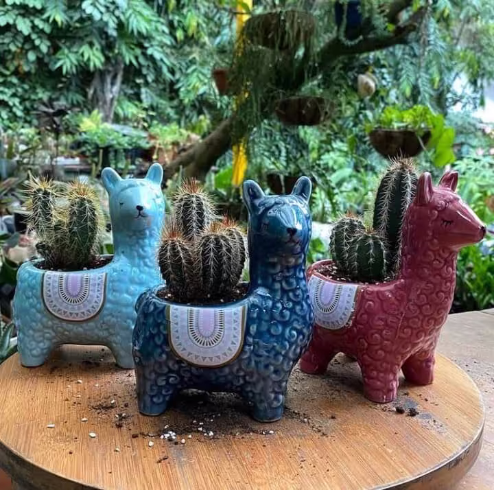 Llama Planter | Alpaca Animal Plant Pot Cute Birthday Gifts Cactus Drainage Hole Planter