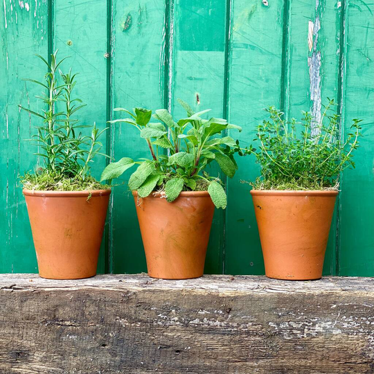 Get Stuffed Herb Crate