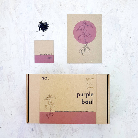 Grow Your Own Purple Basil Kit