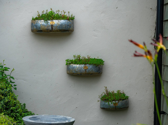 Cardamom Vintage Wall Planters Set Of Three Zinc