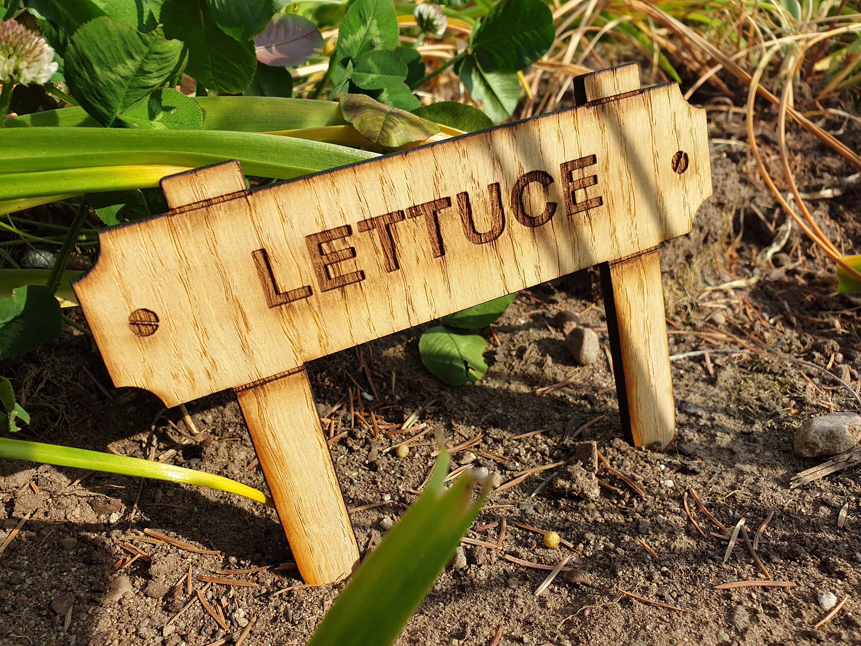 Garden Vegetable Seed Herb Custom Signs Markers Tags Marker Sign Personalised Gift Gardening Plot Allotment Veggie Large