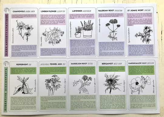 A3 Medicinal Plants Poster // Sleep & Anxiety Natural Remedies Digestive Aid Herbalism