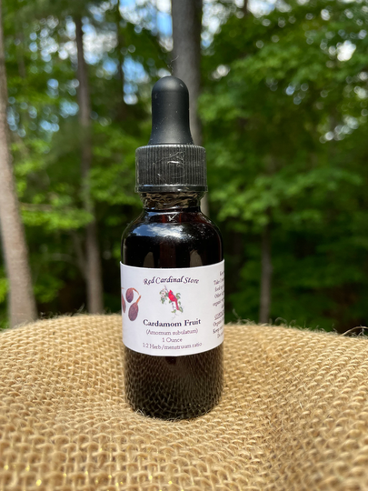 Black Cardamom Fruit Tincture Herb Extract Double Extraction