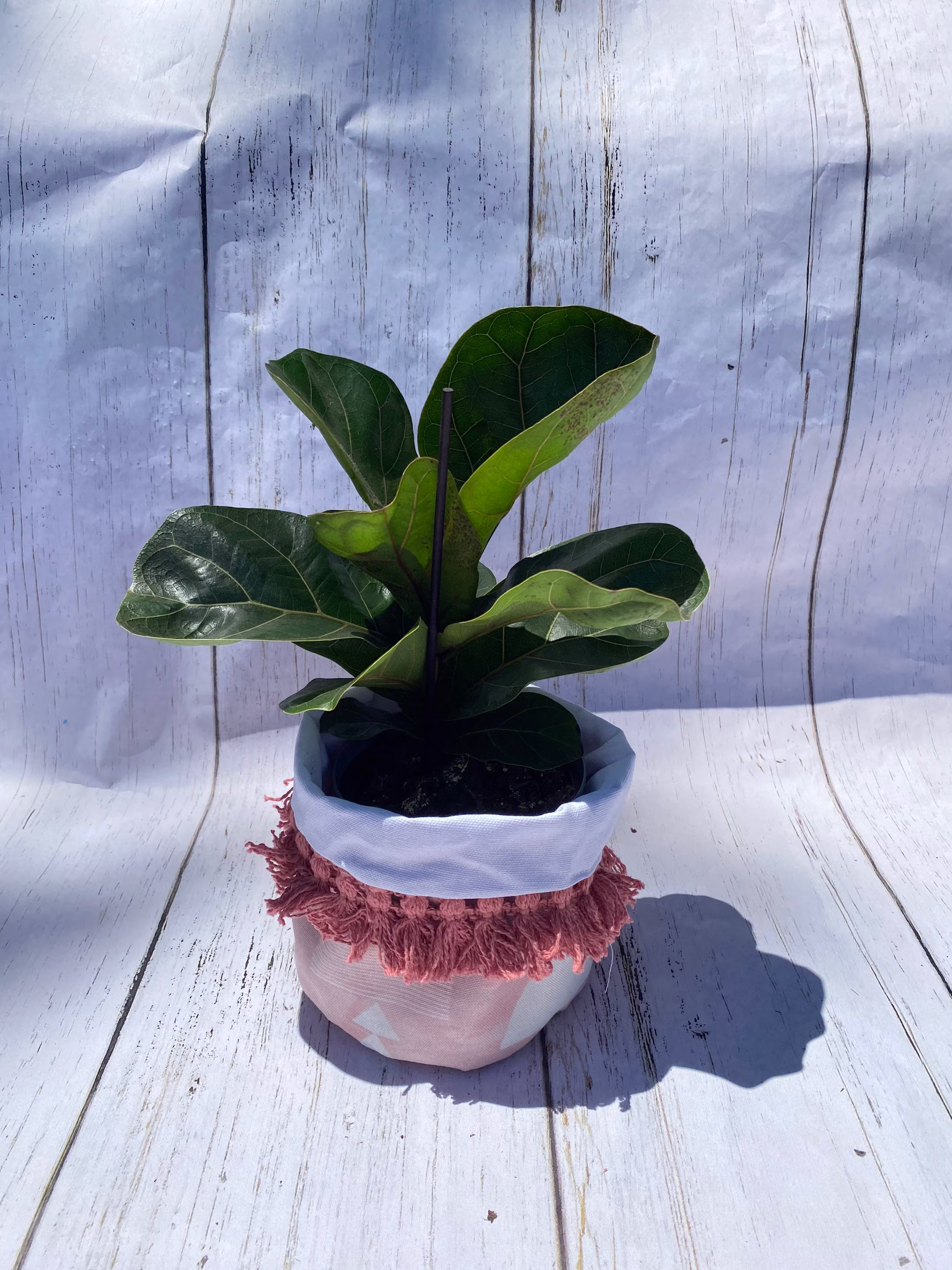 Fabric Planter Cover | Canvas Boho Collapsible Cover| Reversible Pink & White