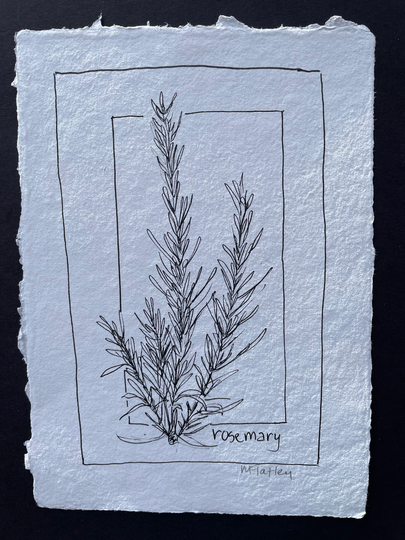 Pen & Ink, Illustration, Black White Drawing, Botanical Print, Wall Hanging, Original Art, Decor, Minimalist, Farmhouse Style