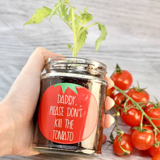 Personalised 'Don't Kill Me' Cherry Tomato Jar Grow Kit