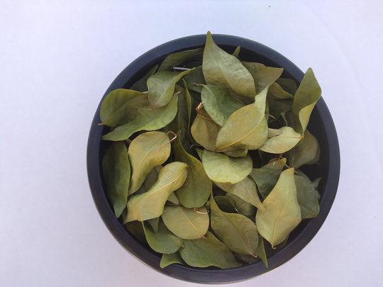 100 Dried Surinam Cherry Leaves Pitanga 100% Natural, Delicious Hot Or Cold, Breakfast Tea, Tea Lovers, Try Something Different