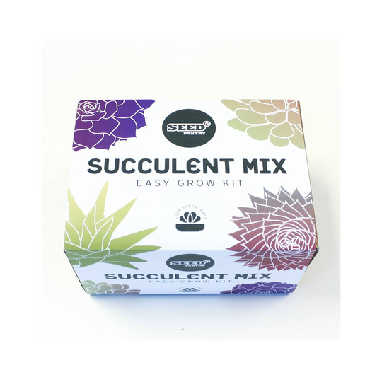 Succulent Mix Easy Grow Kit