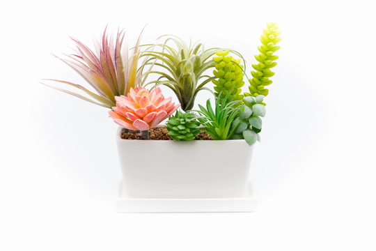 Succulent Planter Ceramic Containers, Cactus Planters, Flower Pots With Drainage Hole & Tray, White Rectangular