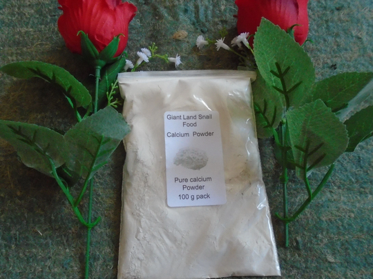 100G Of Calcium Powder, Giant African Land Snails, Reptiles Tortoises Etc
