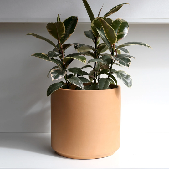 Unglazed Modern Planter, Mid Century Plant Pot, Clay Ceramic Pot For Plant, Optional Saucer | 8", 10", 12", 15