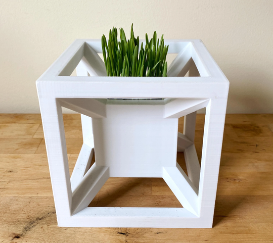 Hypercube Flower Planter