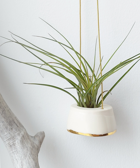 Small Plant Hanger For Airplant | Tillandsia, Ceramic Support Airplant, Soft White Real 22K Gold Design, Minimalist Hygge Et Boho Design