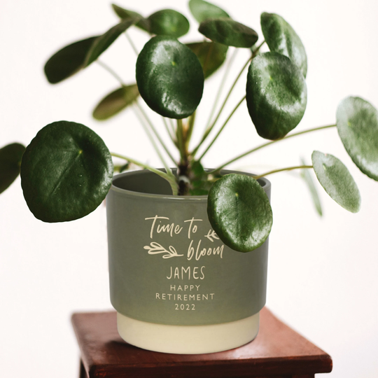 Personalised Retirement Indoor Plant Pot, Time To Bloom Wish Someone Luck, Say Farewell With A Personal Bespoke Gift