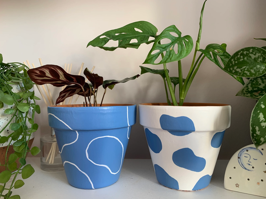 Blue Cow Duo - Hand-Painted Terracotta Plant Pots
