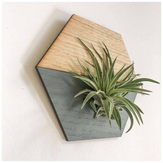 Hexagonal Wall Hanging Planter