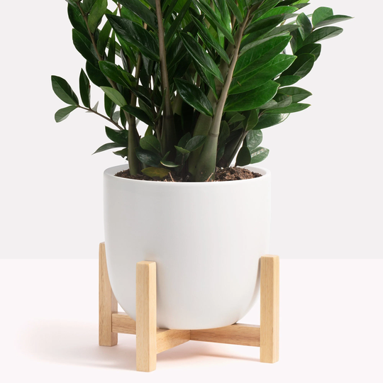 Planter + Plant Stand | 7", 10", 12