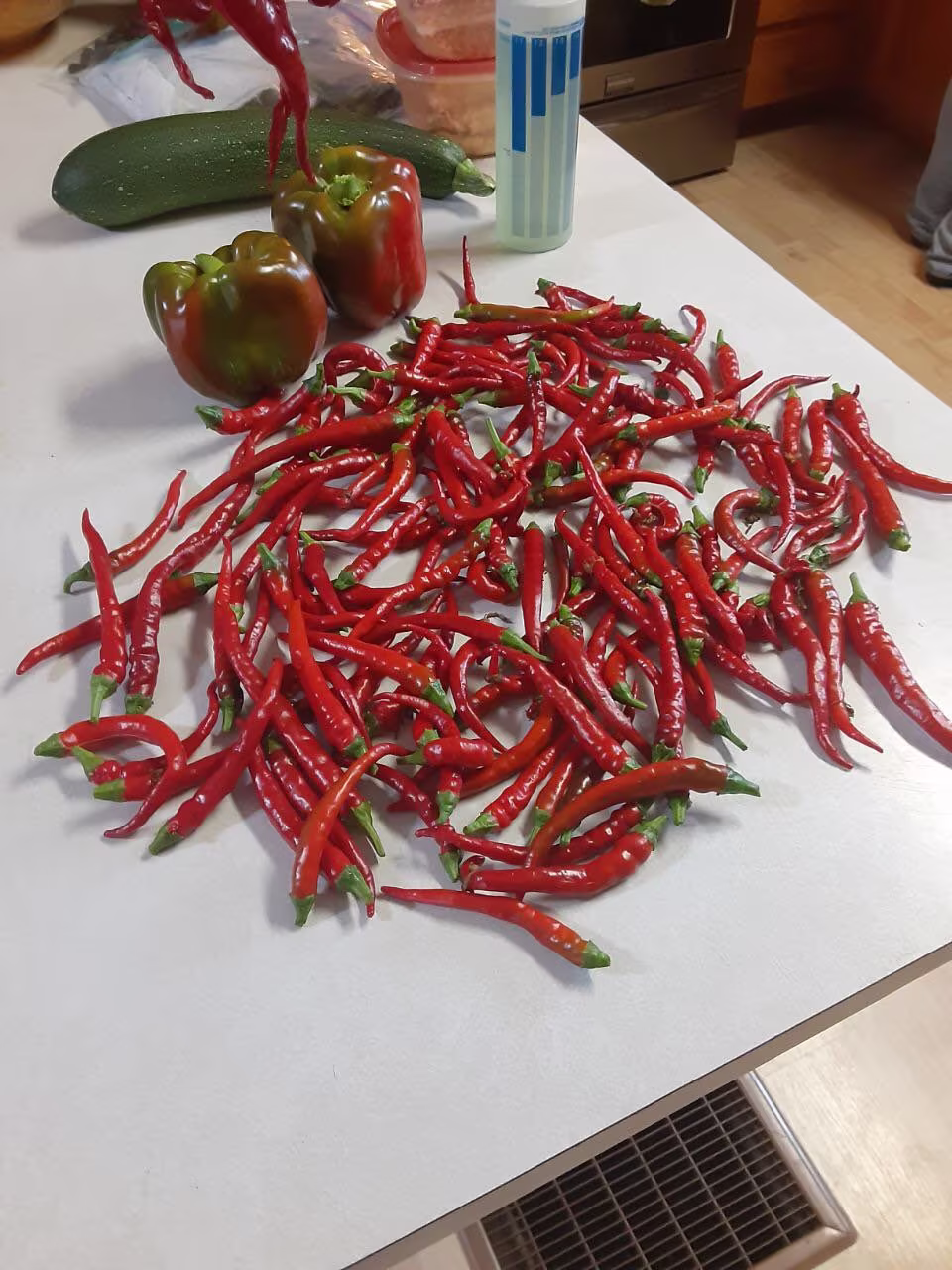 Dried Organic Cayenne Peppers