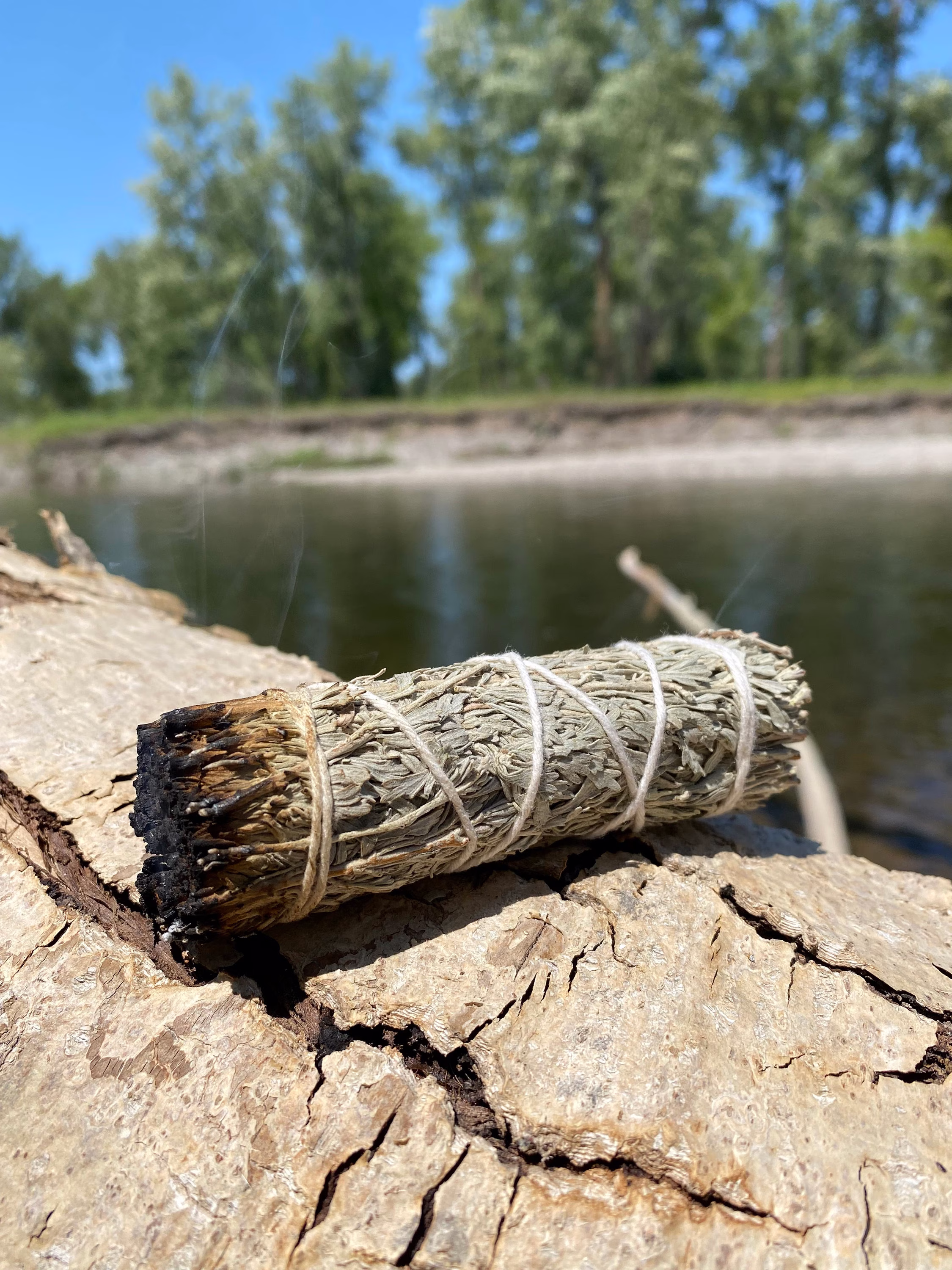 Blue Sage Smudge - 4