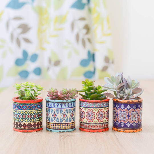 Four Colourful Plant Pots Christmas Present