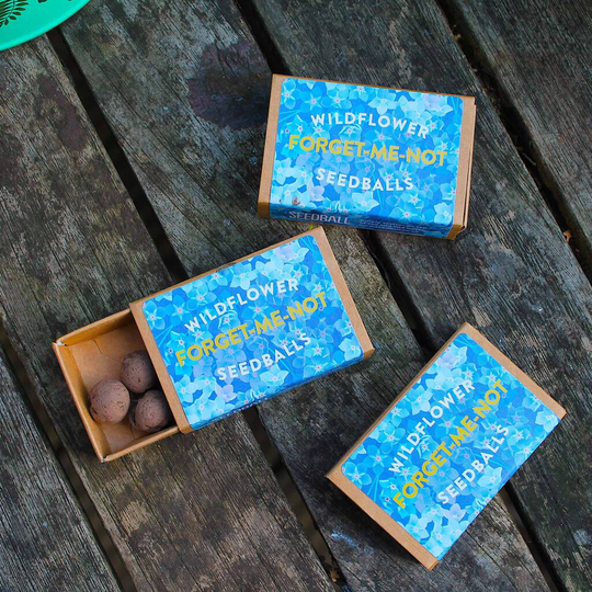 Forget Me Not Wildflower Seed Boxes