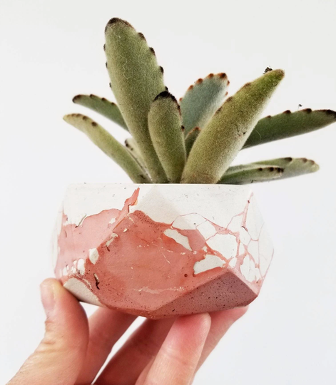 Made To Order Desert Rose & White Geometric Planter