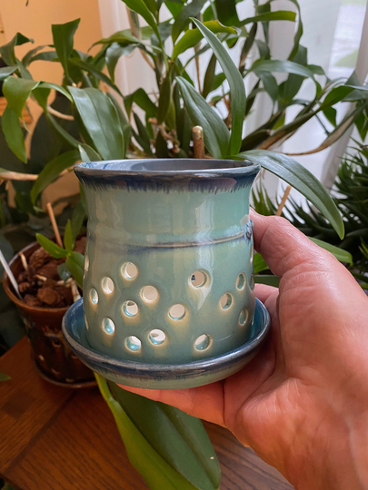 Orchid Pot Minis, Pots For Keikis, Small