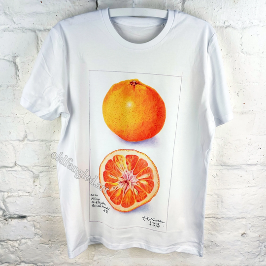Tangor | 1908 - Unisex Organic T-Shirt, Vintage Style Botany T-Shirt, Floral T-Shirt