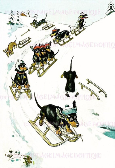 Antique 1920's Illustration Of Dachshunds Frolicking in The Snow On Sleds Sledges Christmas Season Winter Solstice Holiday 5x7 Greeting Card