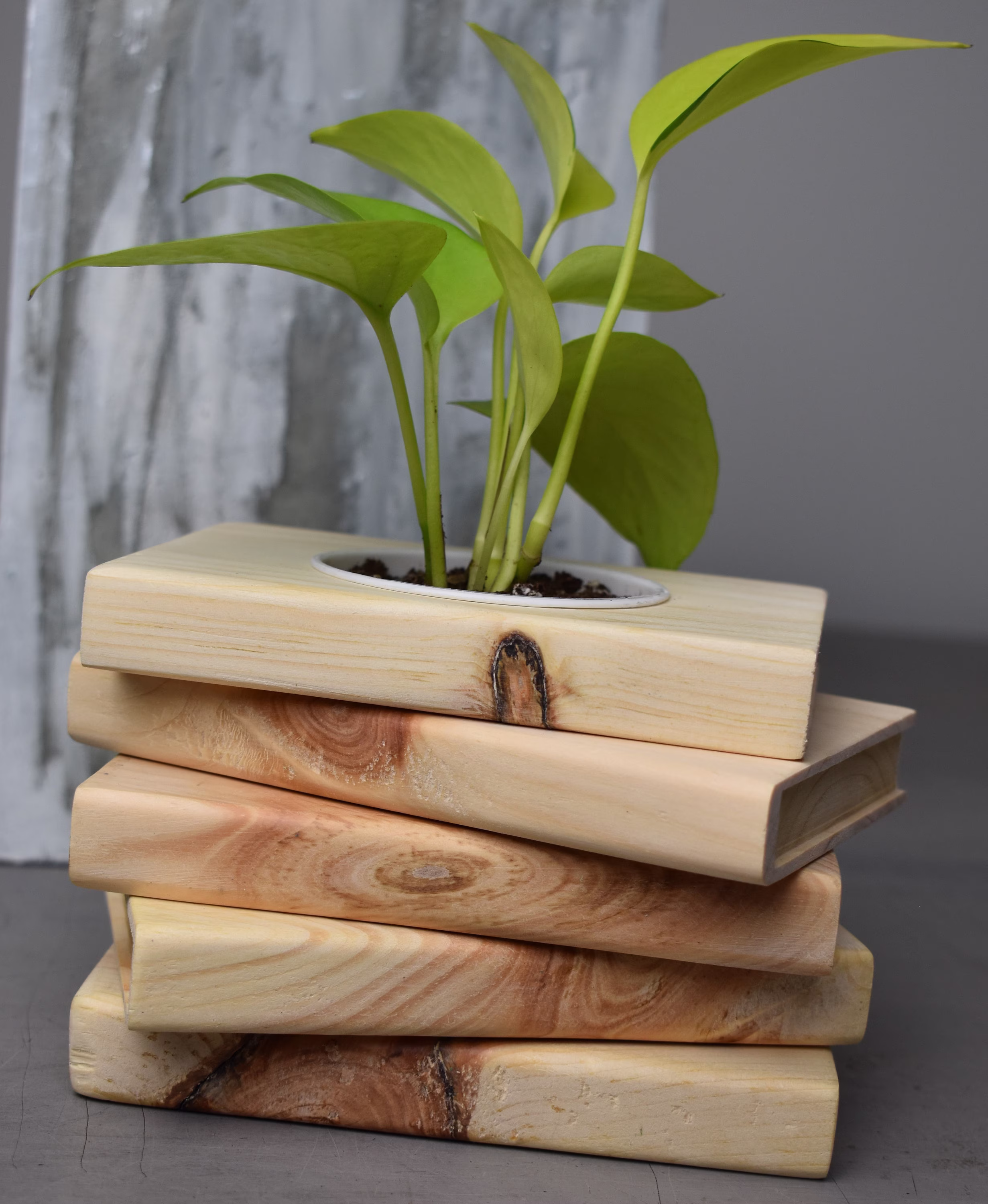 Knotty Pine Book Stack Planter, Housewarming Gift, Plant Lover 5 Year Anniversary Gift For Wooden Anniversasry