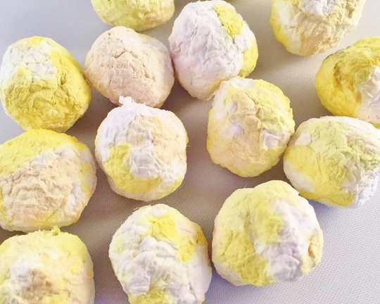 Sunflower Seed Bombs