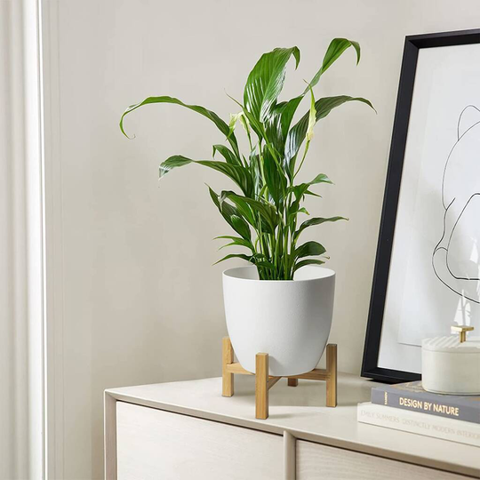 Sets Of Three Plants Pot With Stand