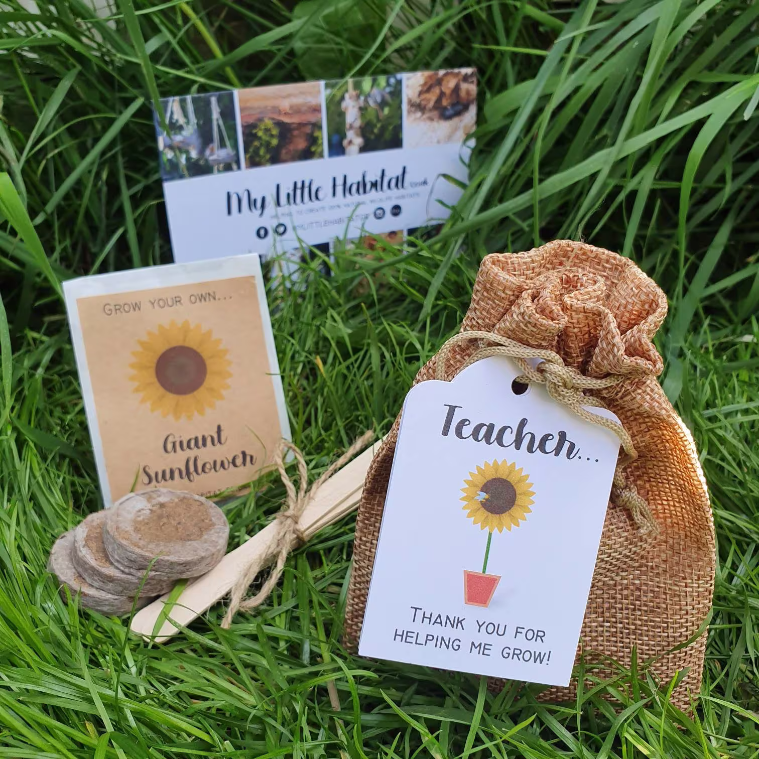 Teacher Gift Sunflower Growing | Thank You For Helping Me Grow Teacher Activity School Bee Eco Nature Garden
