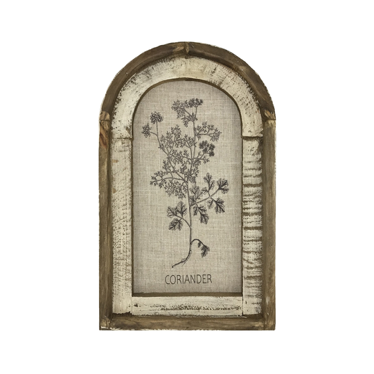 Coriander Wall Decor | Farmhouse Herbs Sign I Kitchen Art